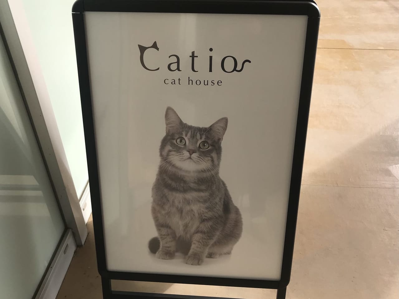 ビバモールにいる猫カフェ