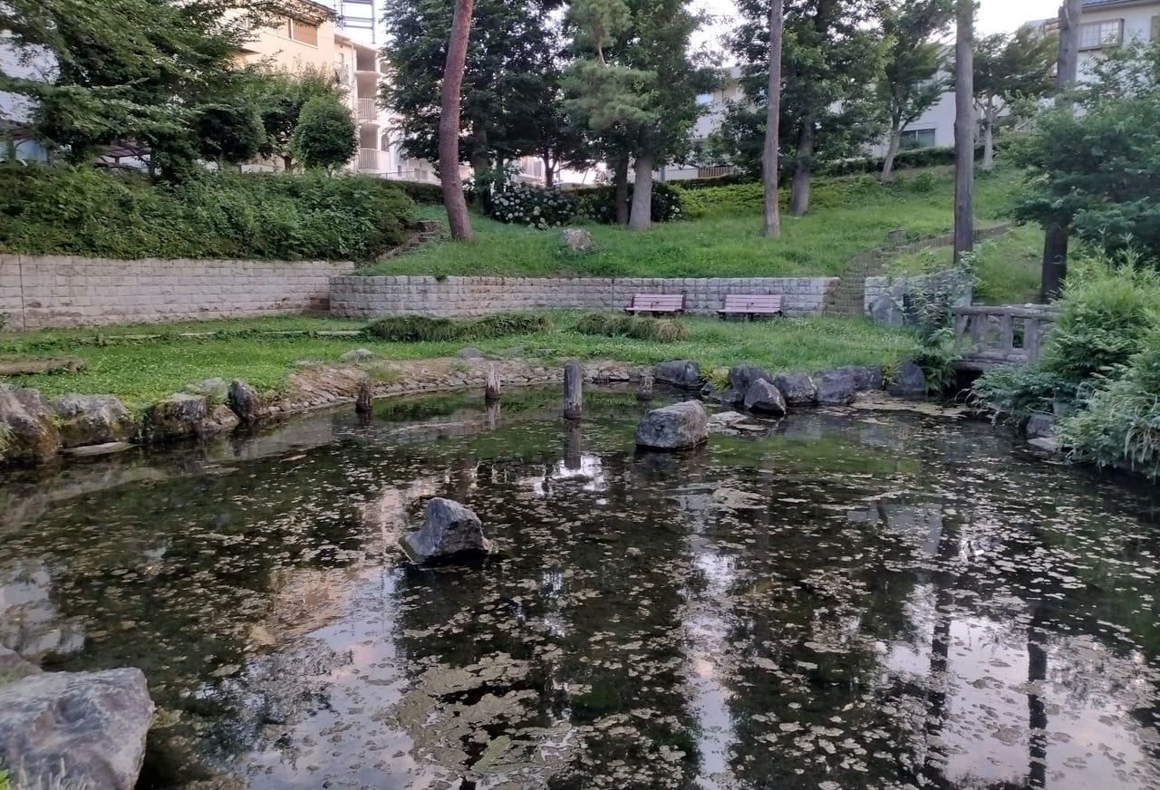 公園の池