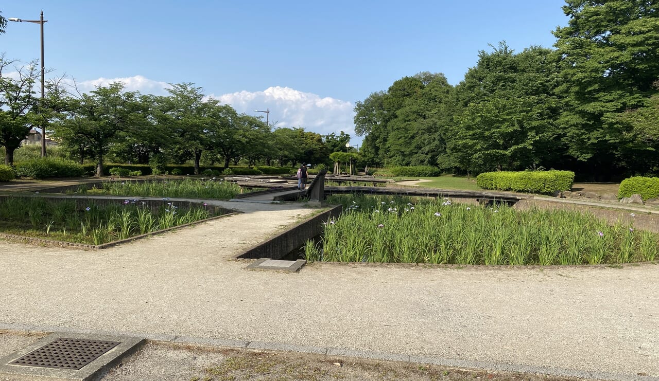 せせらぎ菖蒲園園内