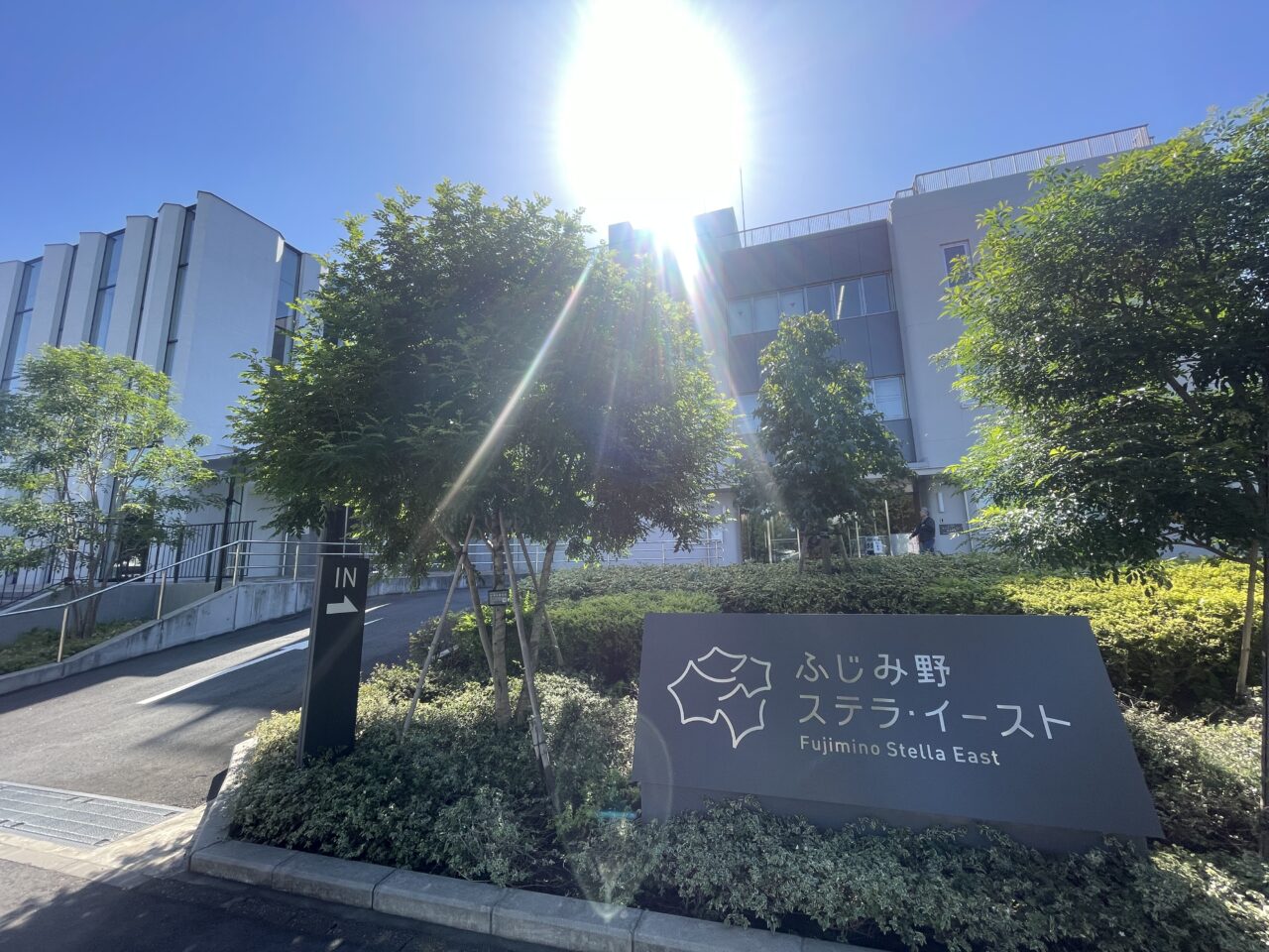 ステライースト