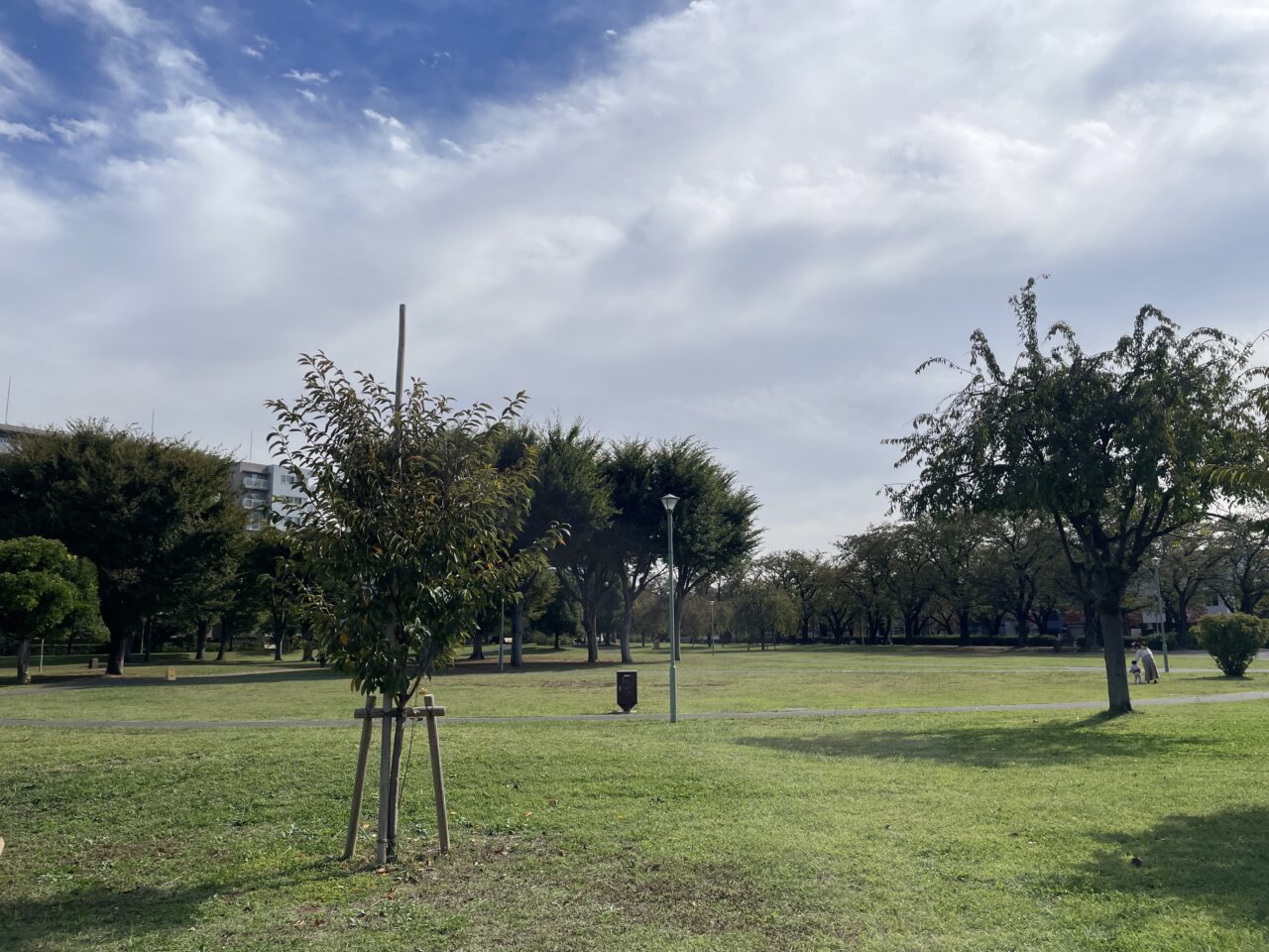 福岡中央公園