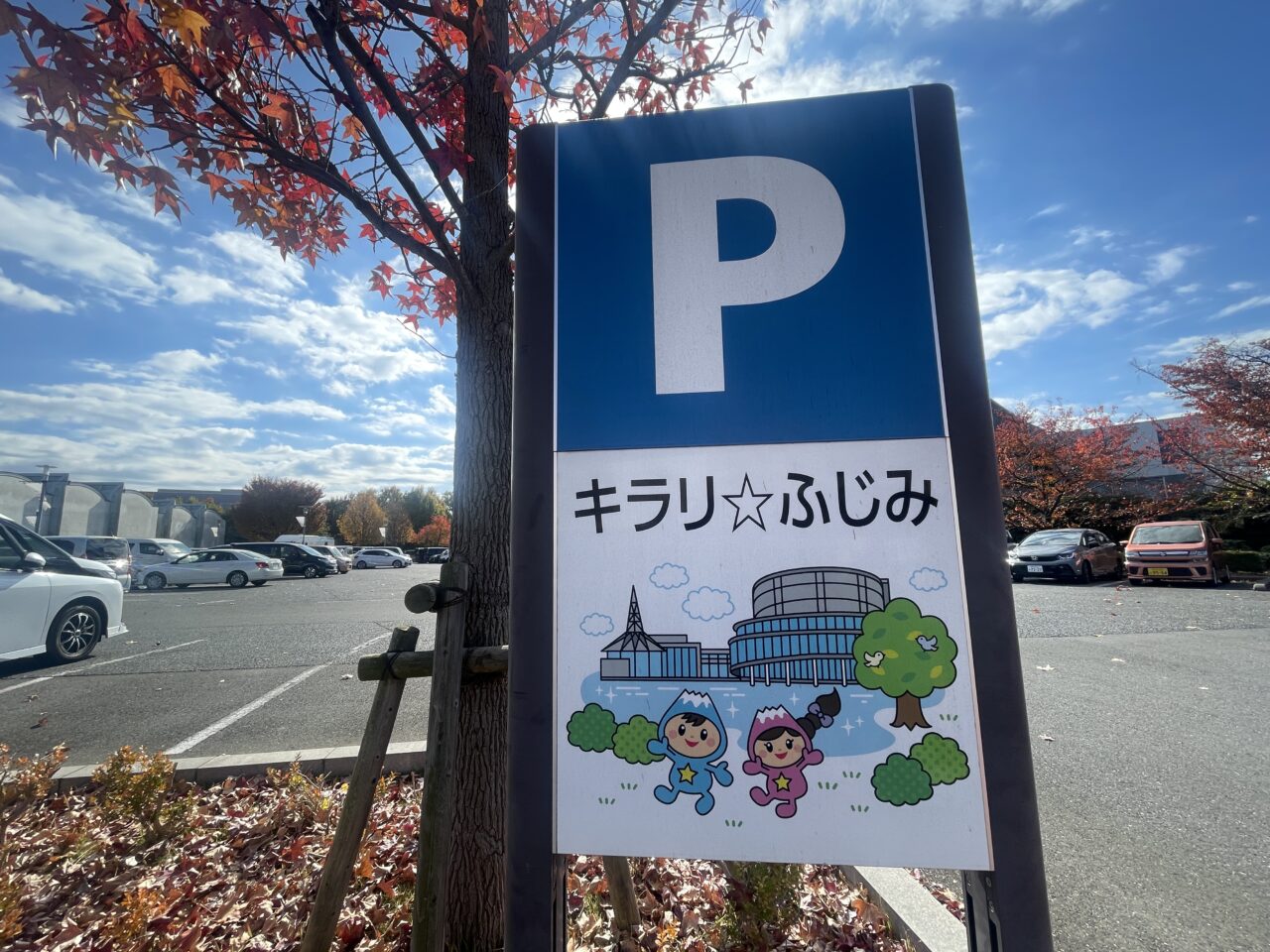 キラリ⭐︎ふじみ駐車場