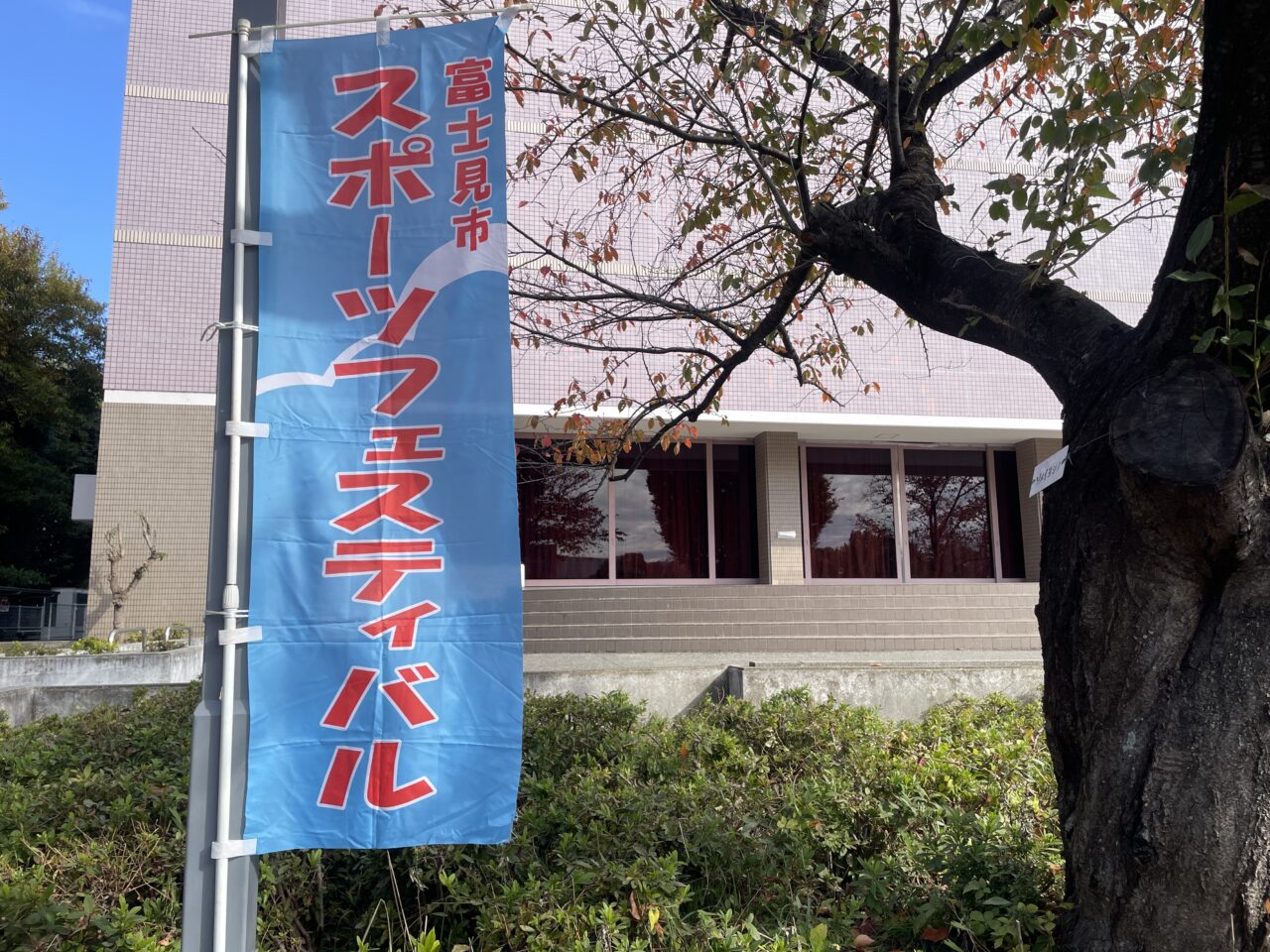 スポーツフェスティバル