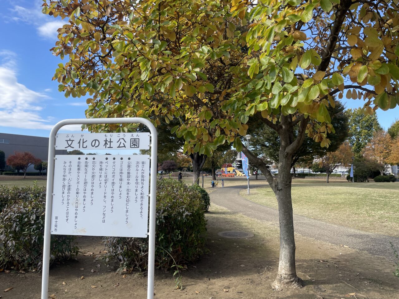文化の杜公園
