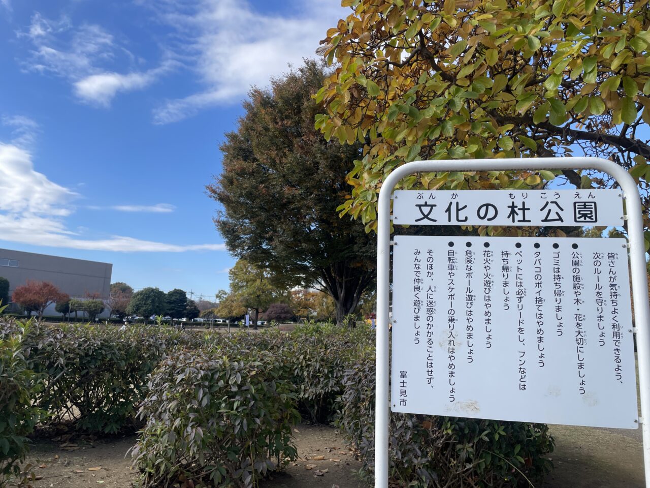 文化の杜公園