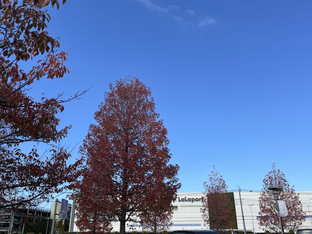 ららぽーと富士見