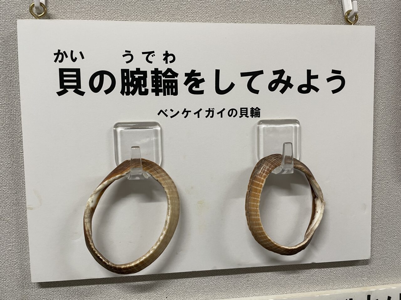水子貝塚