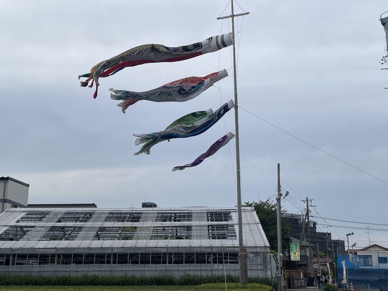 丸康園