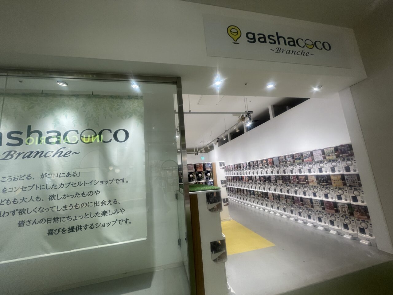 gashacoco