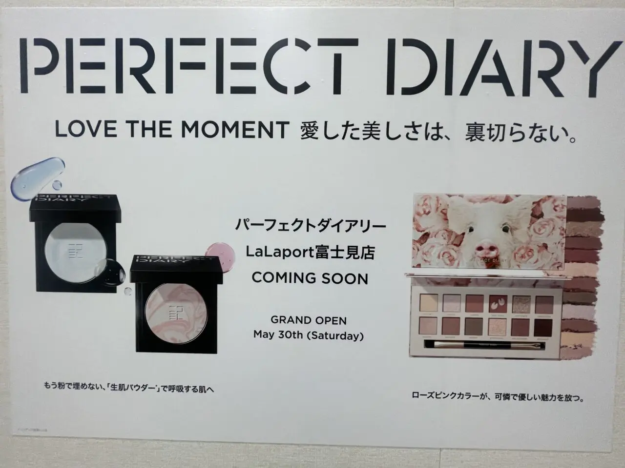 PERFECT DIARY