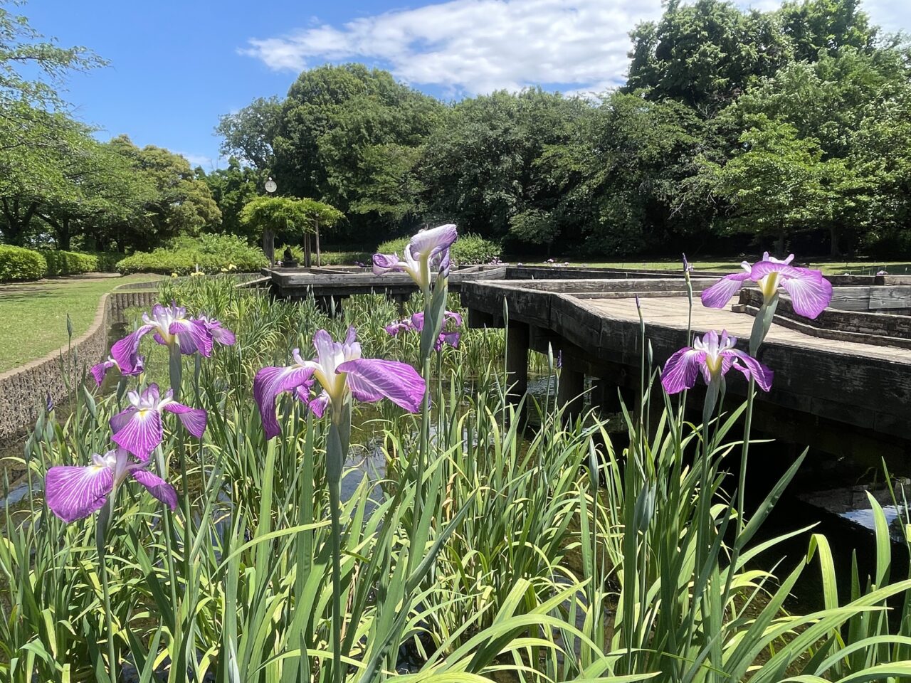 山崎公園