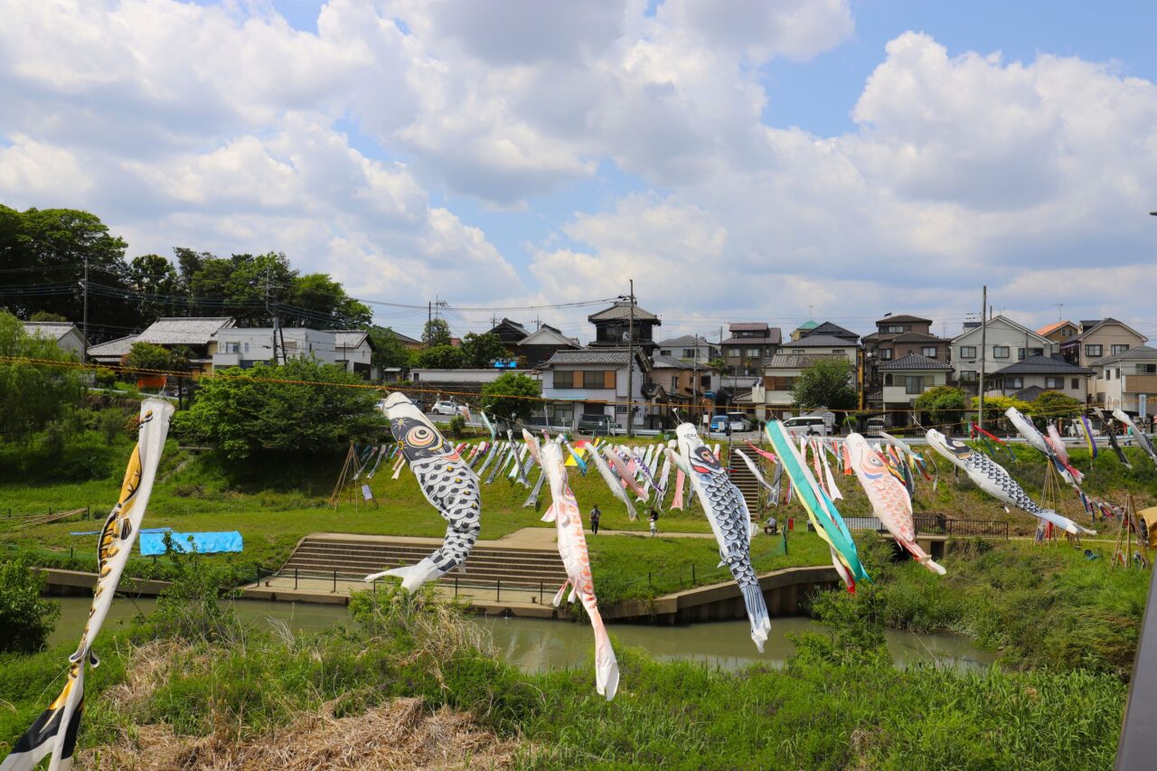 新河岸川こいのぼり