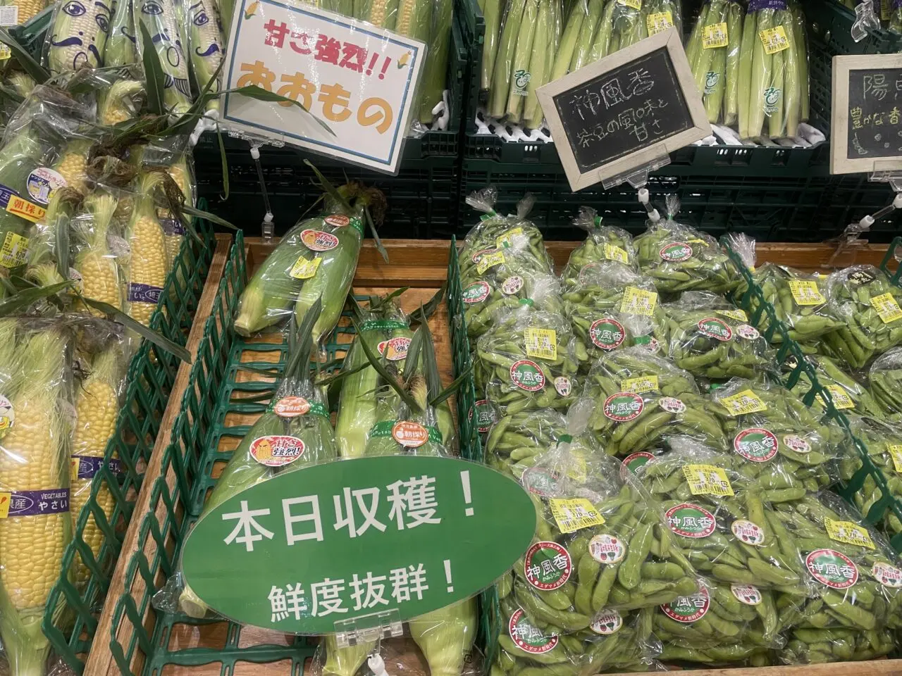 あぐれっしゅ