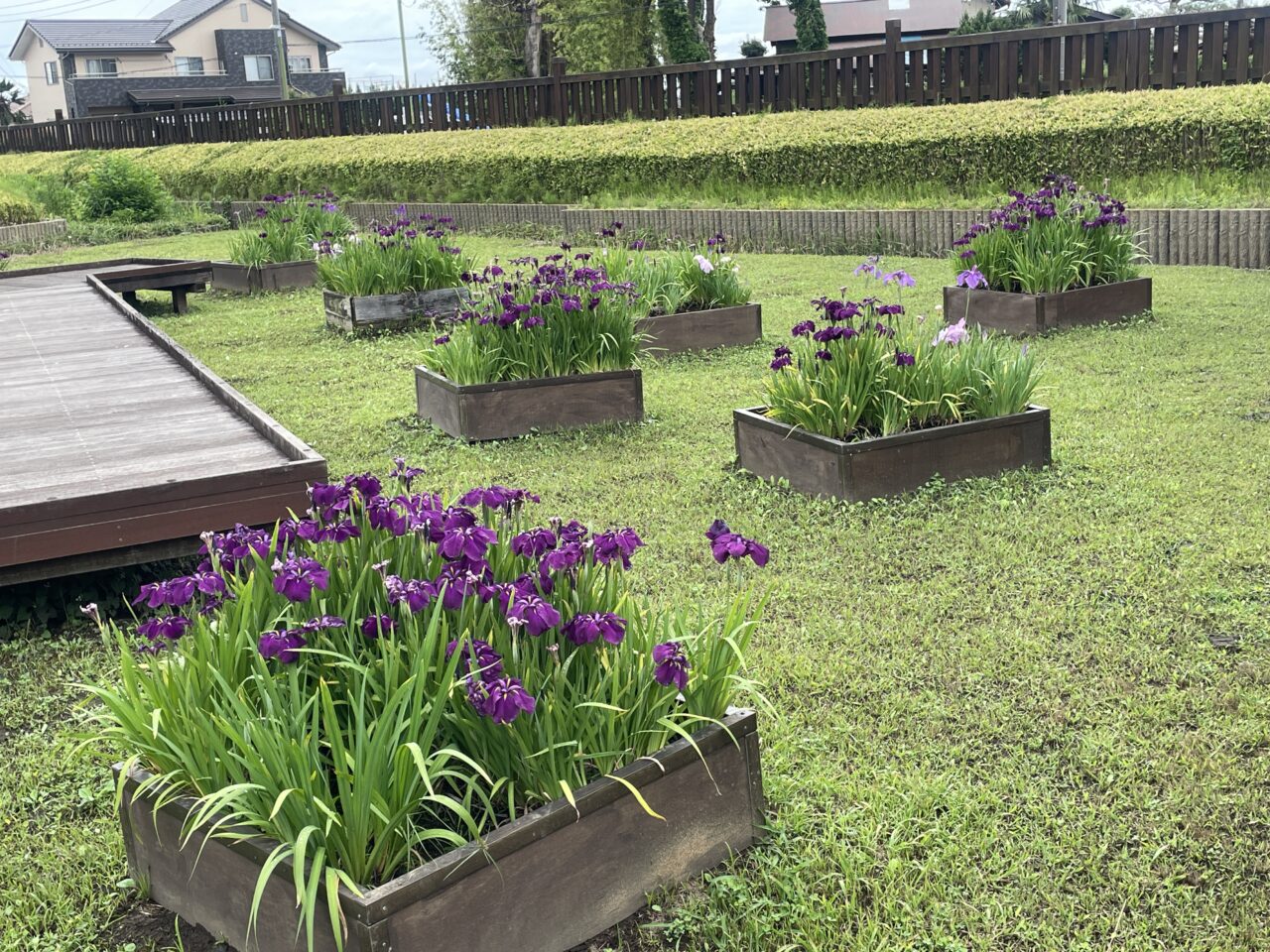 難波田城公園