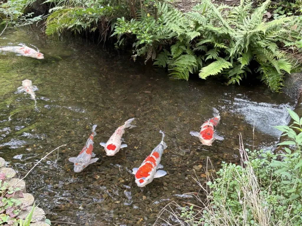 栗谷津東公園