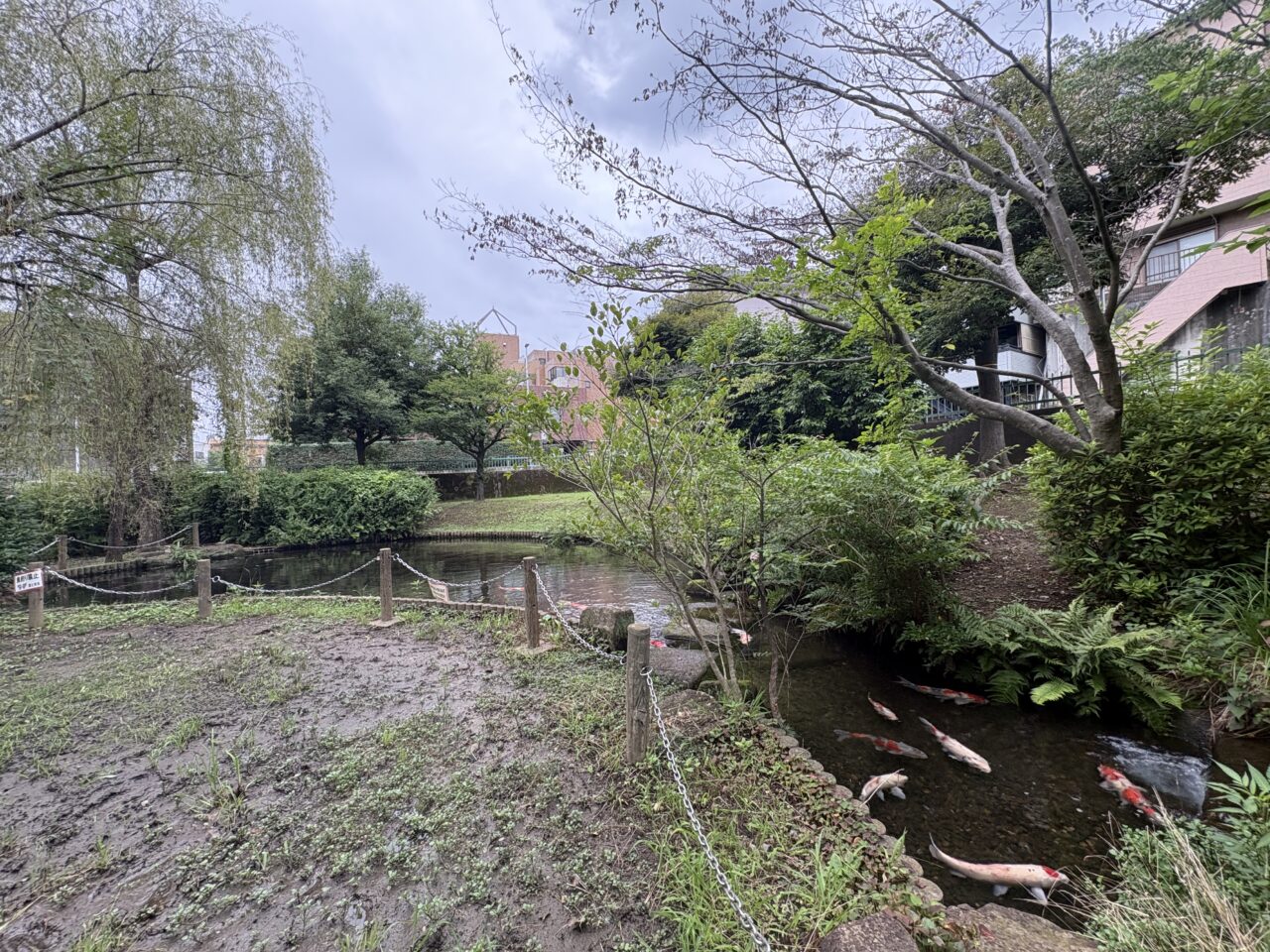 栗谷津東公園