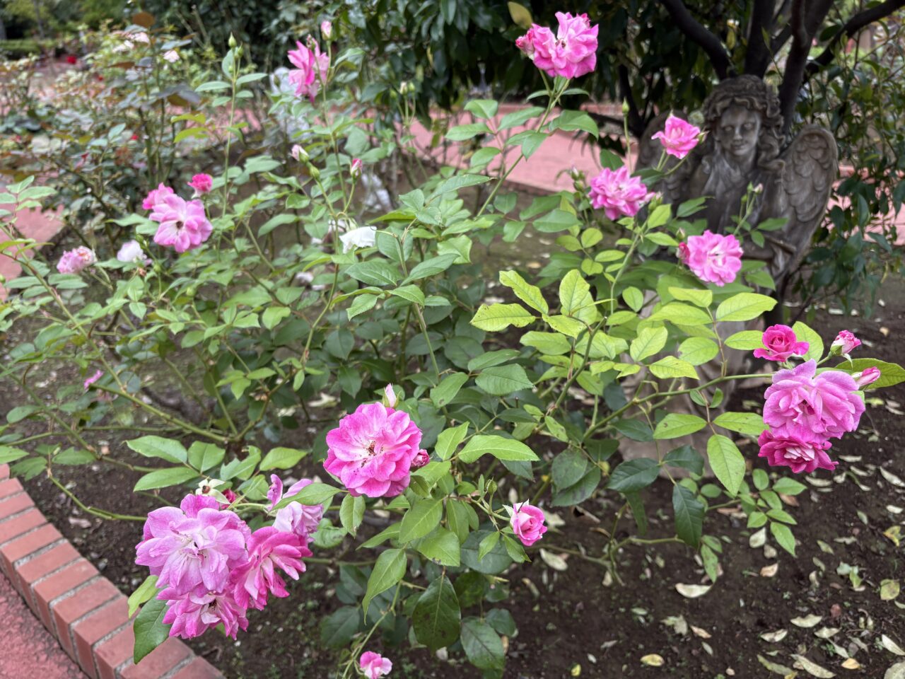 恵愛病院