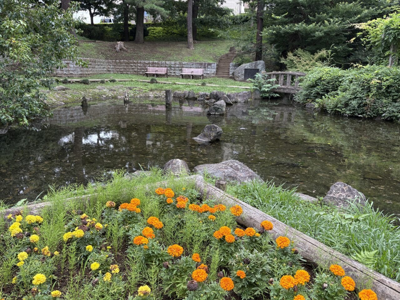 栗谷津公園