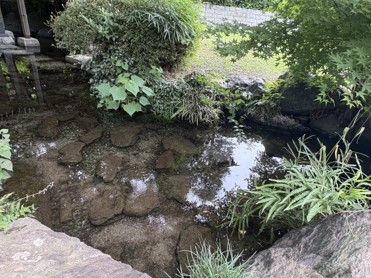 栗谷津公園