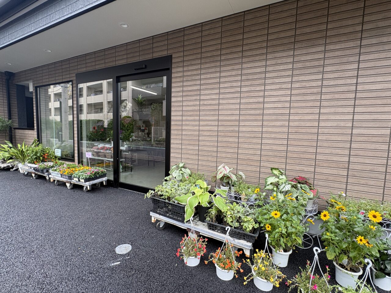 馬場植物園