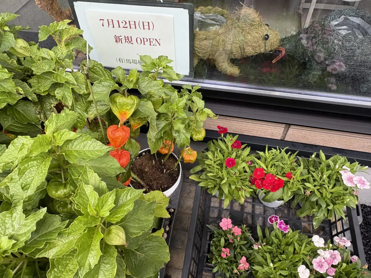 馬場植物園