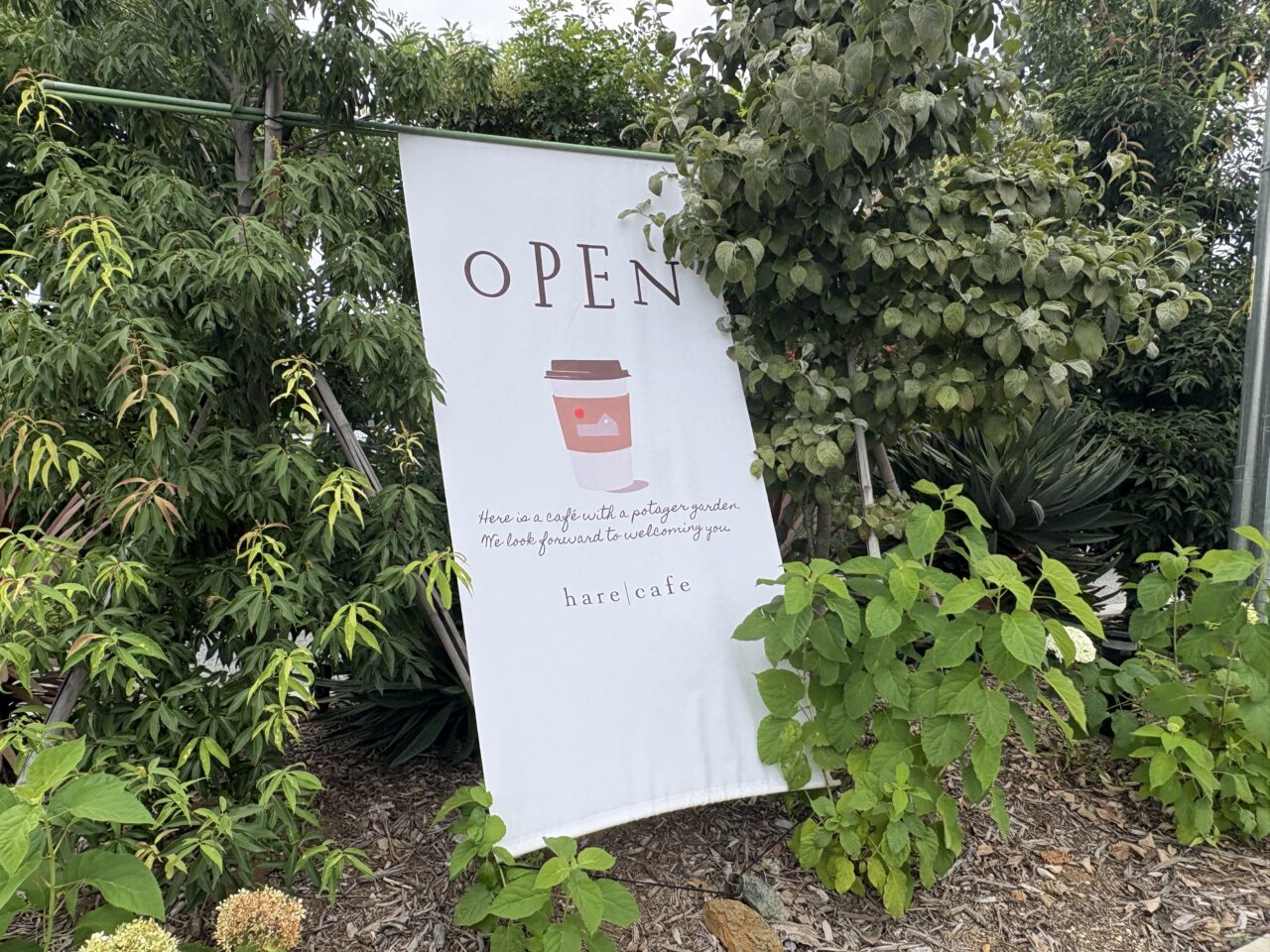 hare cafe（ハレカフェ）