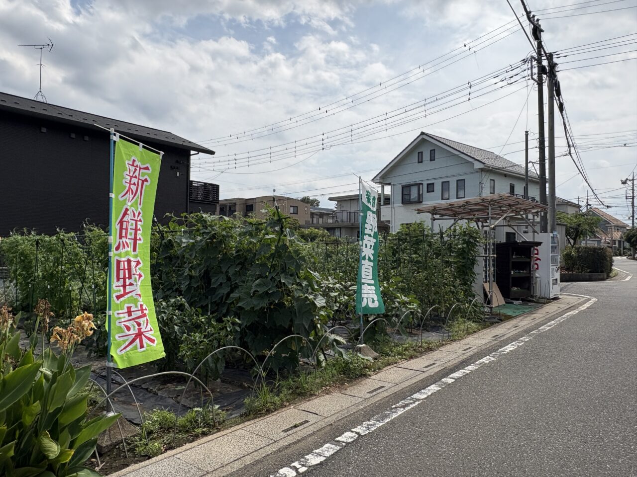 直売所