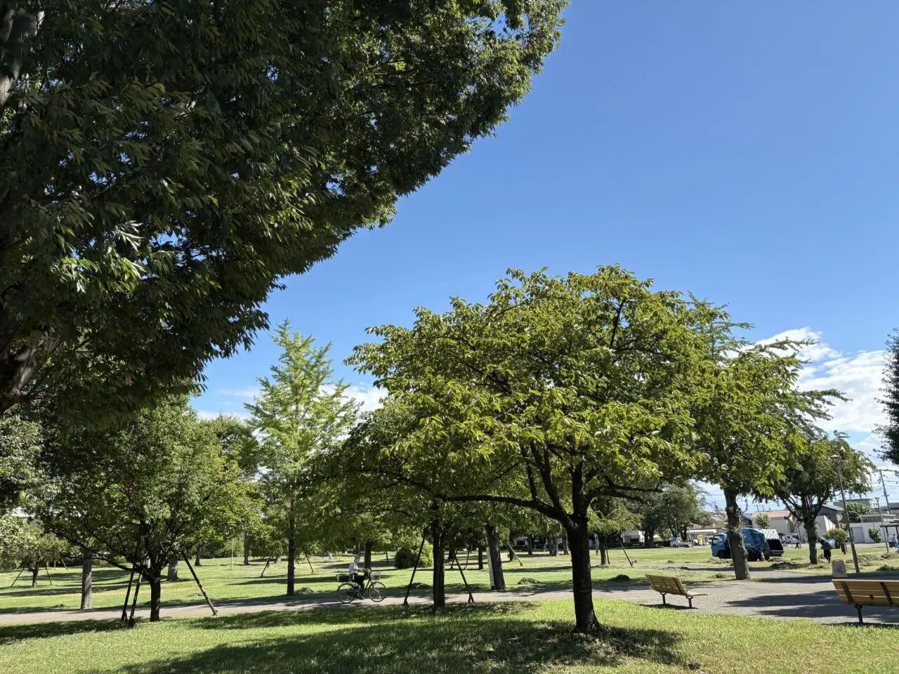 福岡中央公園