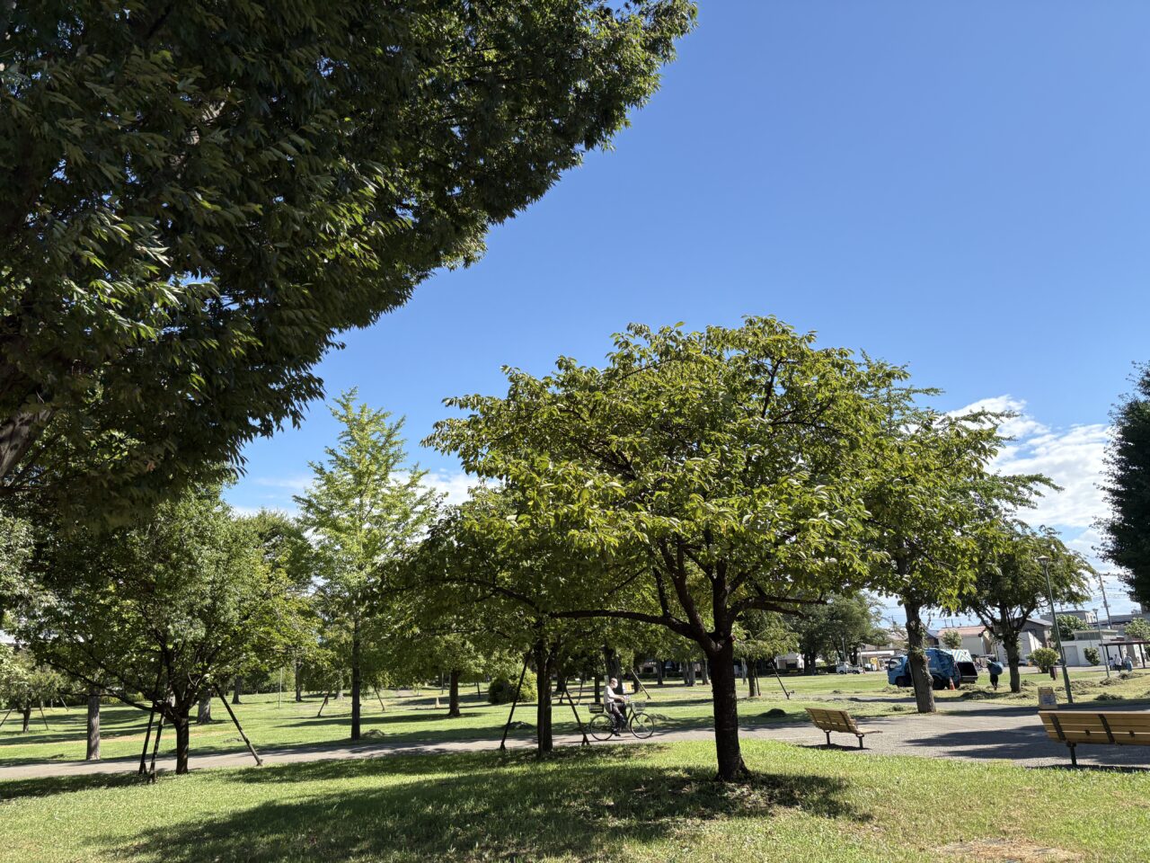 福岡中央公園