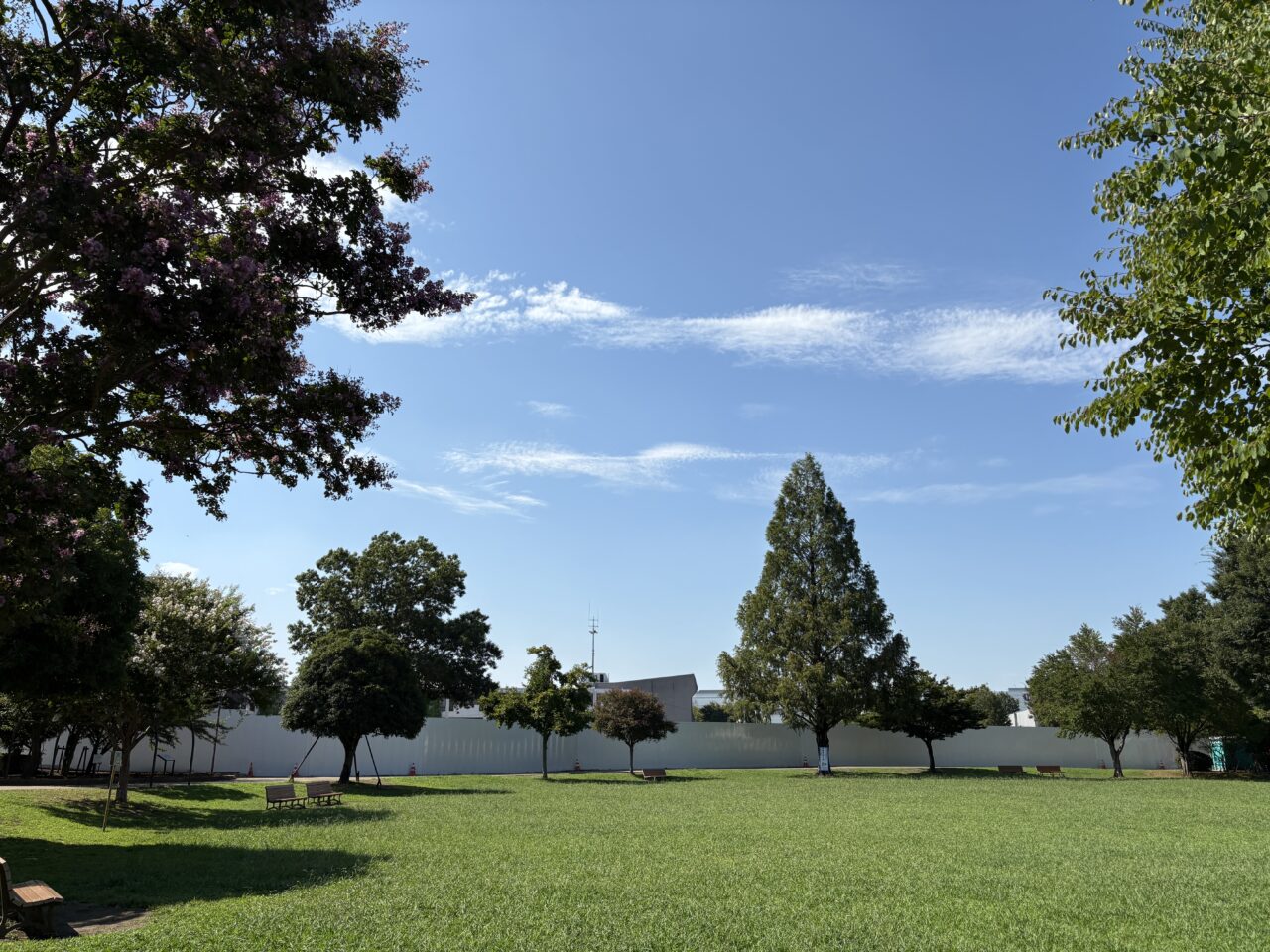 文化の杜公園