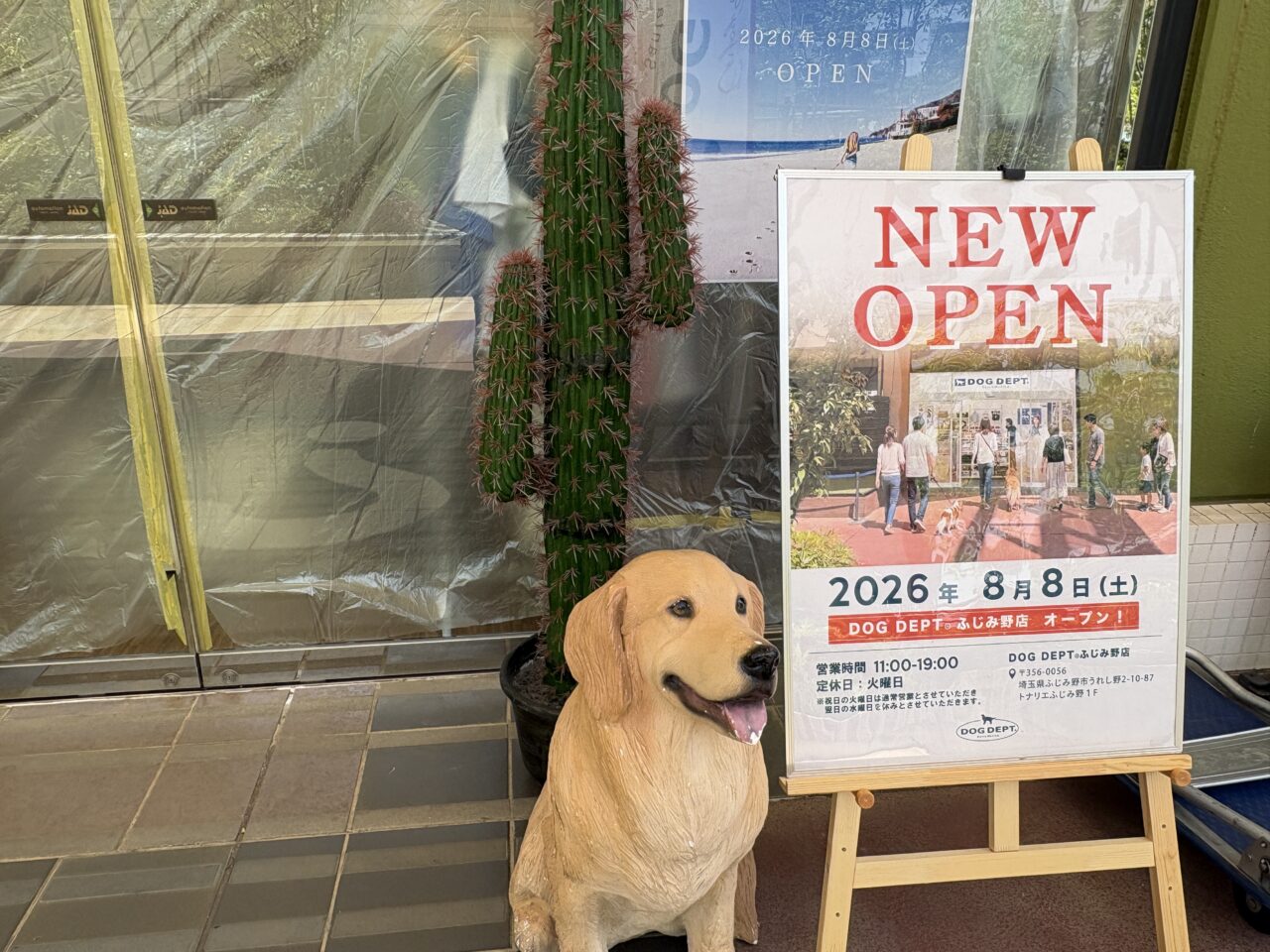 DOGDEPT