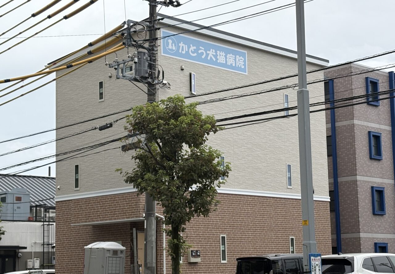 かとう犬猫病院
