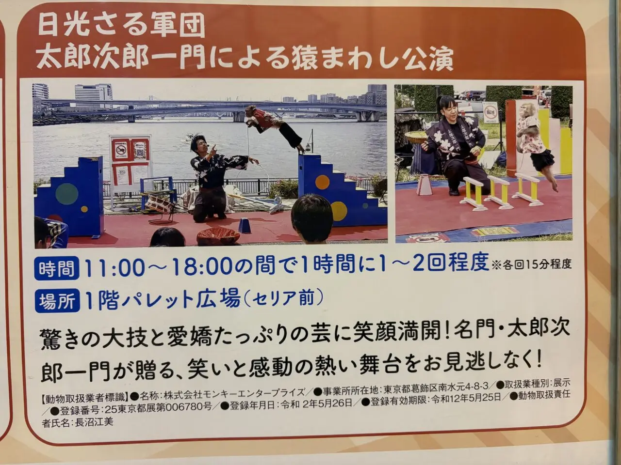 おトナリ祭り