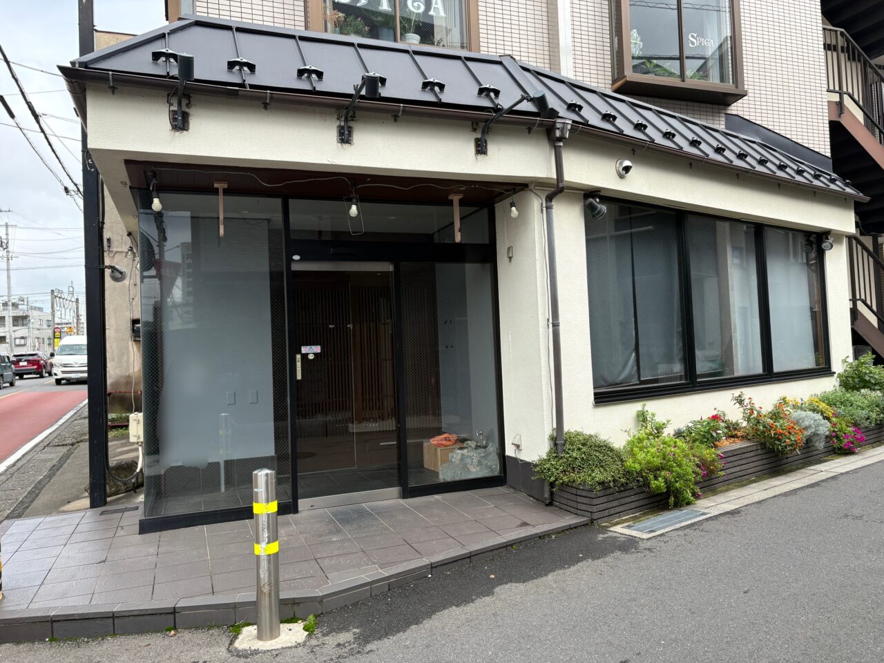 わたぬき