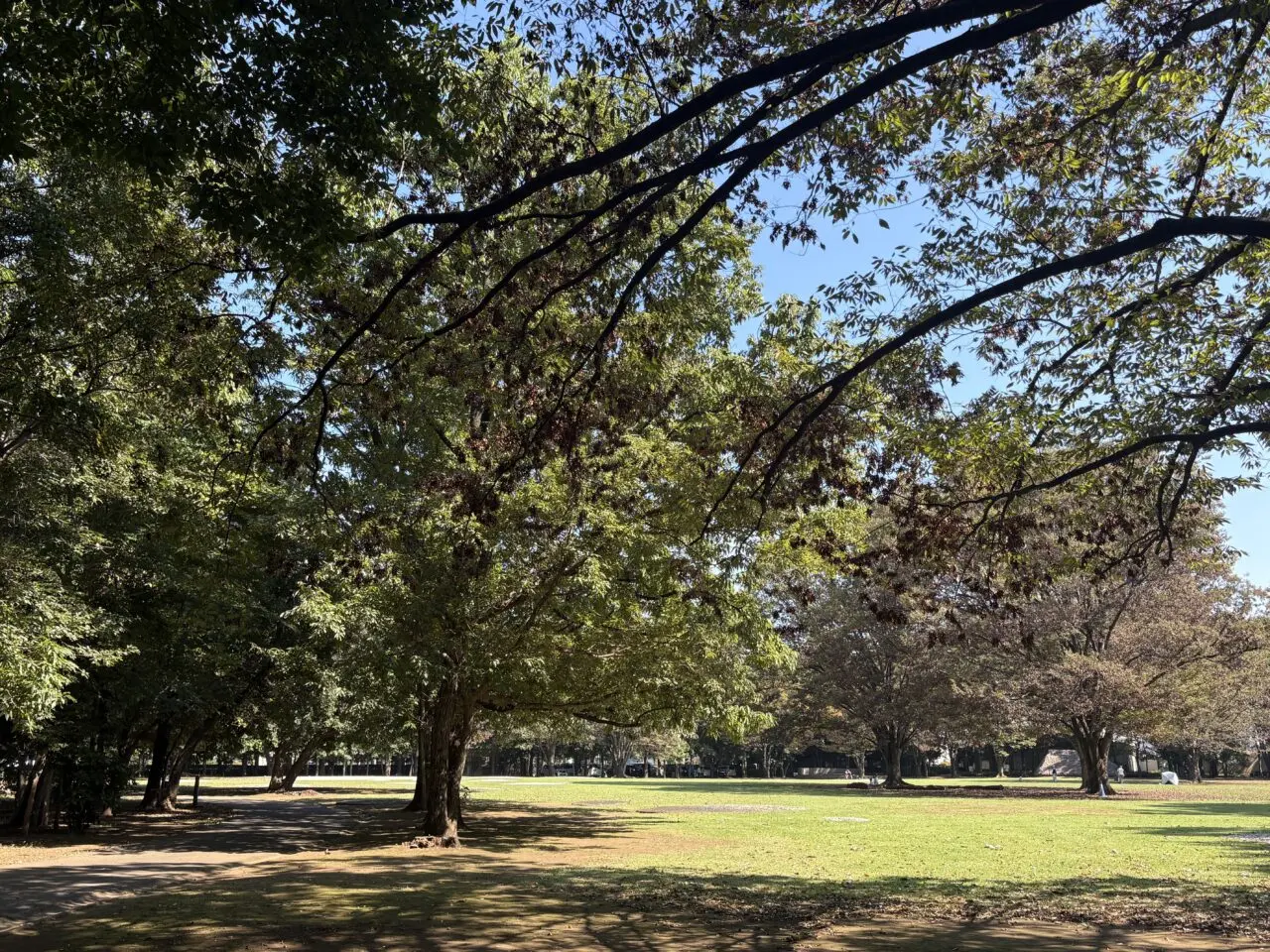水子貝塚公園