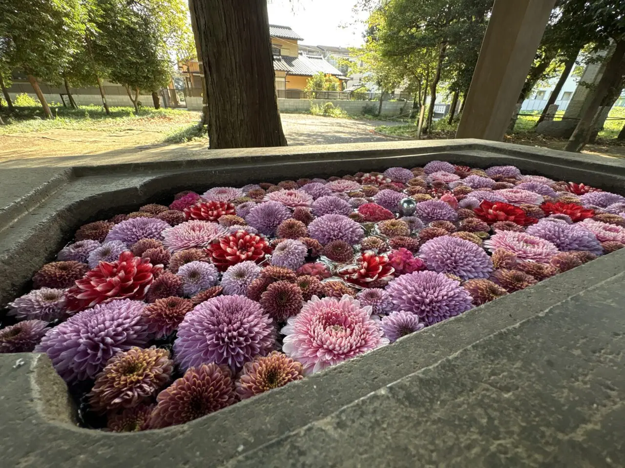 花手水