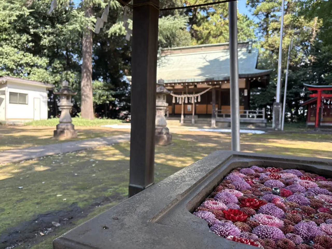 花手水