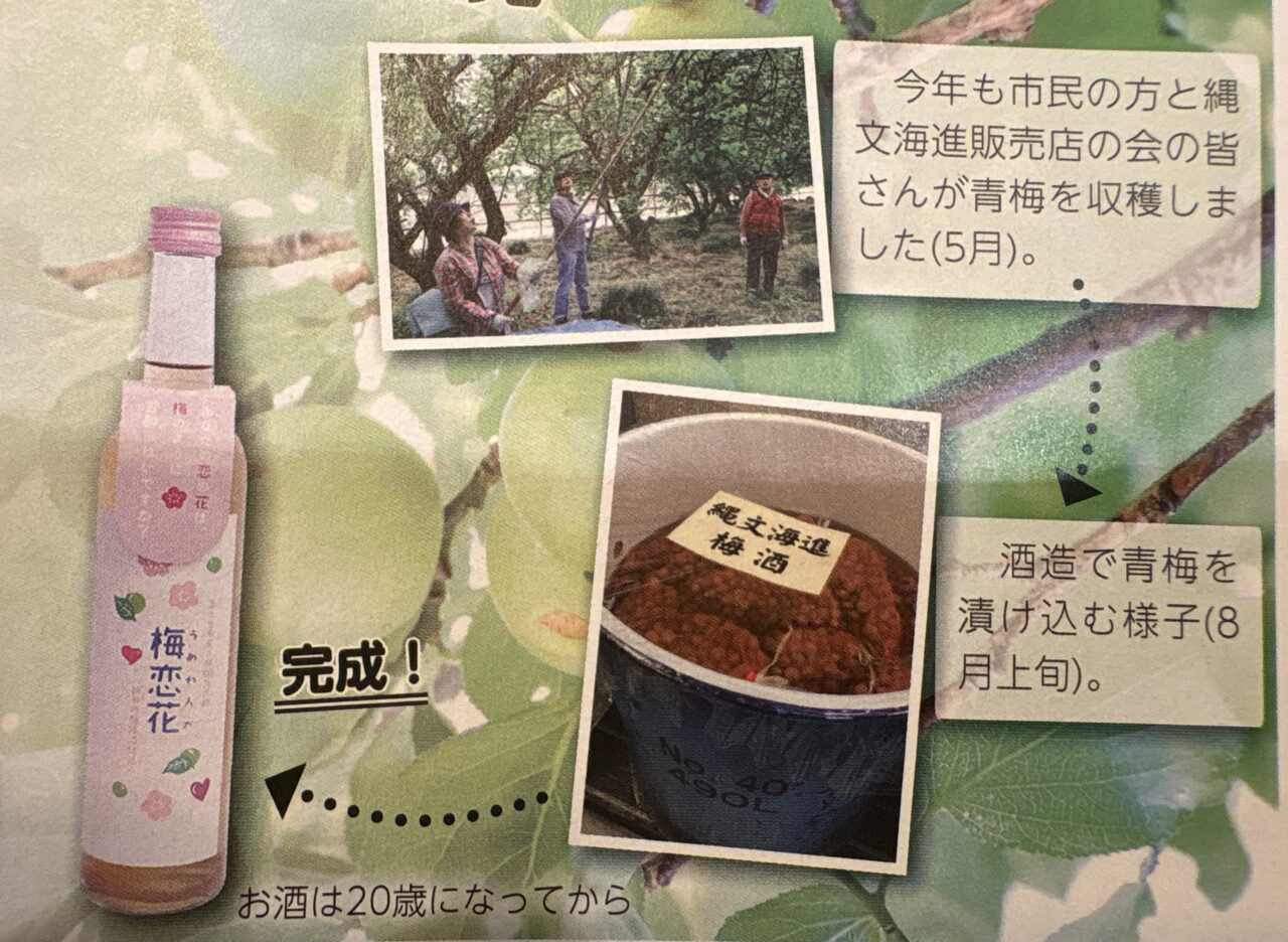 梅恋花